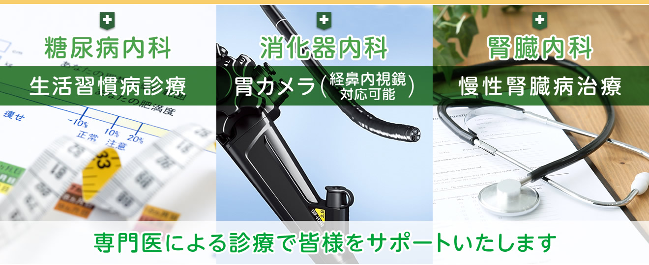 専門医による診療で皆様をサポートいたします。糖尿病内科:生活習慣病診療。消化器内科:胃カメラ(経鼻内視鏡対応可能)。腎臓内科:慢性腎臓病治療